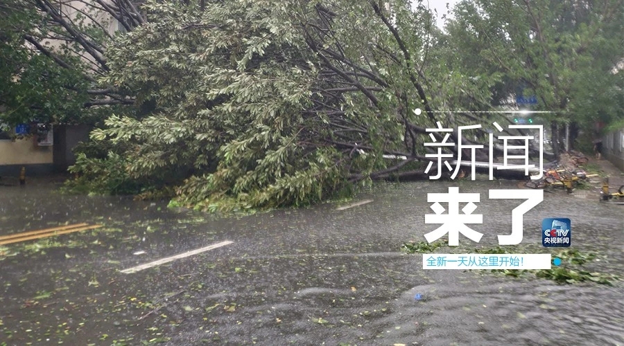 “山竹”怒過，高空塔吊你還好嗎？